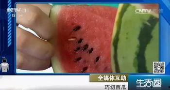 吃瓜不吐籽好么,品味生活真滋味