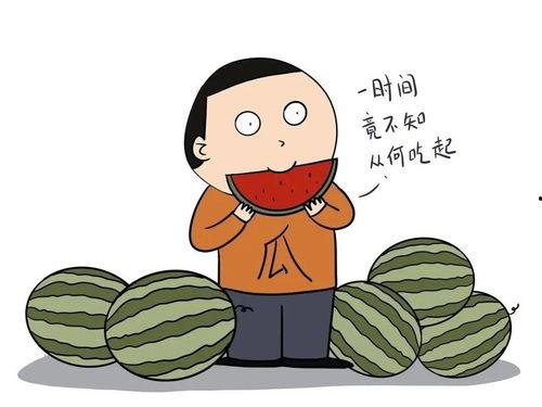 怎样幽默回复吃瓜,幽默回复大集合