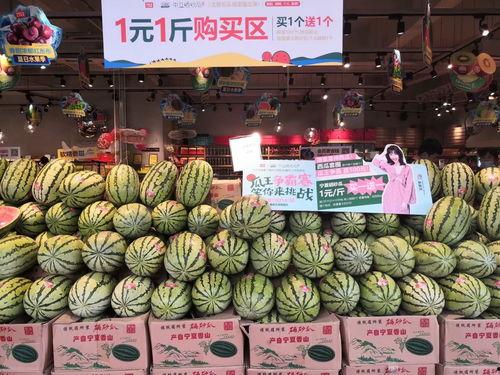 银川吃瓜比赛,吃瓜比赛狂欢盛宴