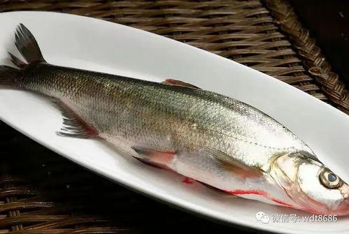 每天吃瓜的肥鱼,揭秘娱乐圈幕后风云