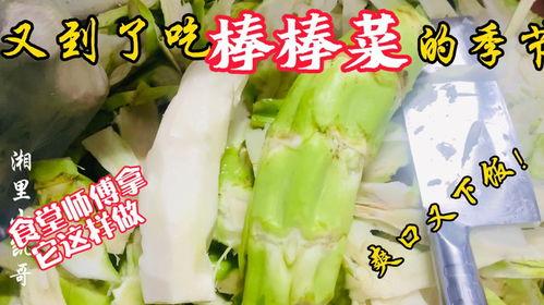 汾阳教师吃瓜,揭秘校园里的“瓜田”风云