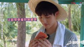 吃瓜字幕,揭秘娱乐圈幕后故事