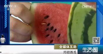 吃瓜不吐籽走路,揭秘瓜农的独特生活态度
