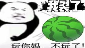 你tm吃我瓜,网络热词背后的故事与影响
