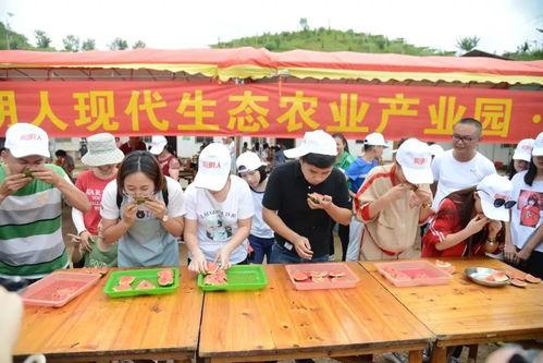 群众吃瓜群广告,揭秘“吃瓜群众”背后的广告营销奥秘