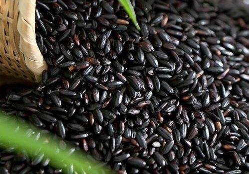 缅北吃瓜黑,一场网络舆论的风暴与反思