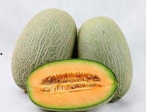 溶血吃哈密瓜,揭秘溶血吃哈密瓜的真相