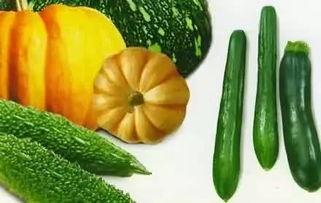 吃瓜树杈,揭秘民间趣味与生活智慧