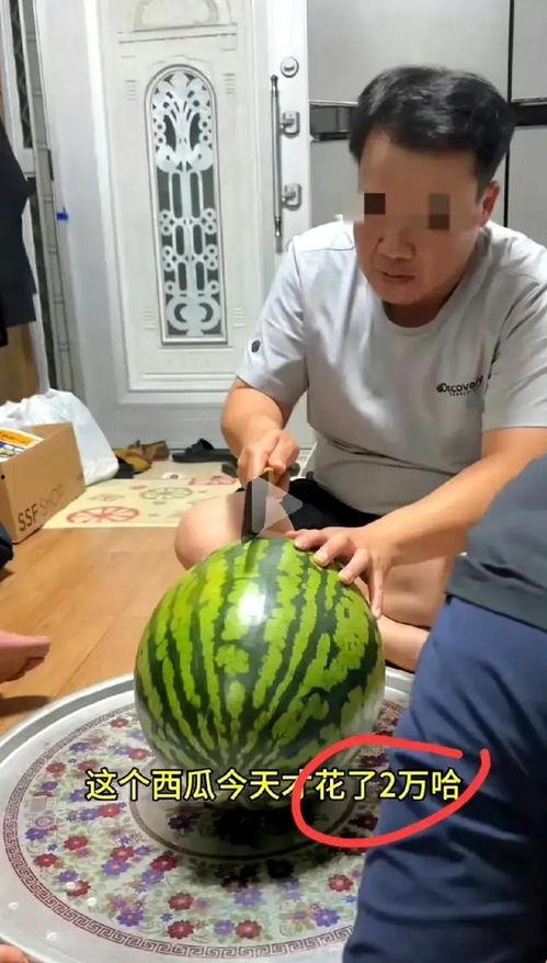 吃自己家瓜,揭秘家庭纷争背后的瓜葛与真相