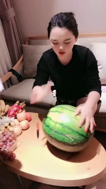 圆规小姐吃瓜,圆规小姐的瓜田奇遇记