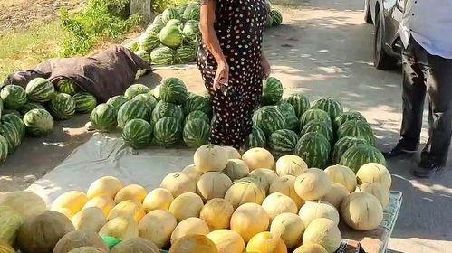 厦门吃瓜热点,盘点近期热门美食事件