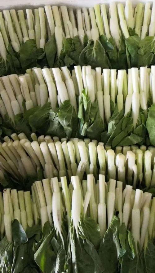 泉州主播吃瓜,趣味横生引网友热议