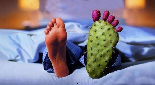 痛风吃角瓜行吗,角瓜的食疗作用解析