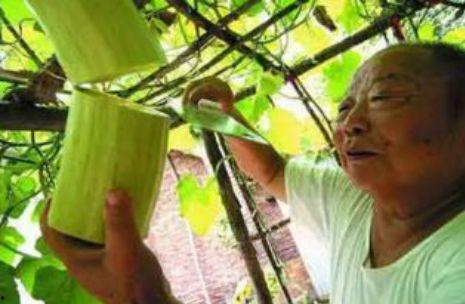 瓜砍着吃,体验一刀砍开的新鲜滋味