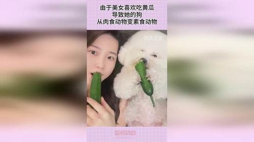 仙女喜欢吃瓜,探寻仙女与瓜果的神秘情缘