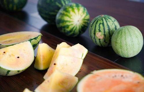 杭州嘉兴吃瓜,品味两地特色美食之旅