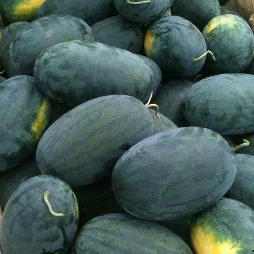 看瓜怎么吃,看瓜吃瓜的乐趣与技巧